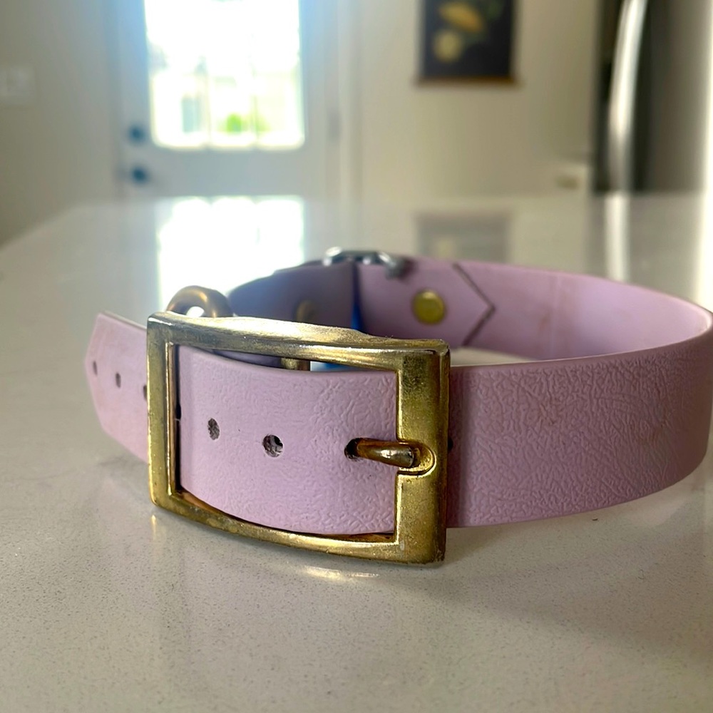 Fi Collar Biothane Series 2